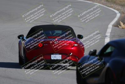 media/Nov-19-2023-Extreme Speed (Sun) [[bd0eec5490]]/Purple/Back Shots/